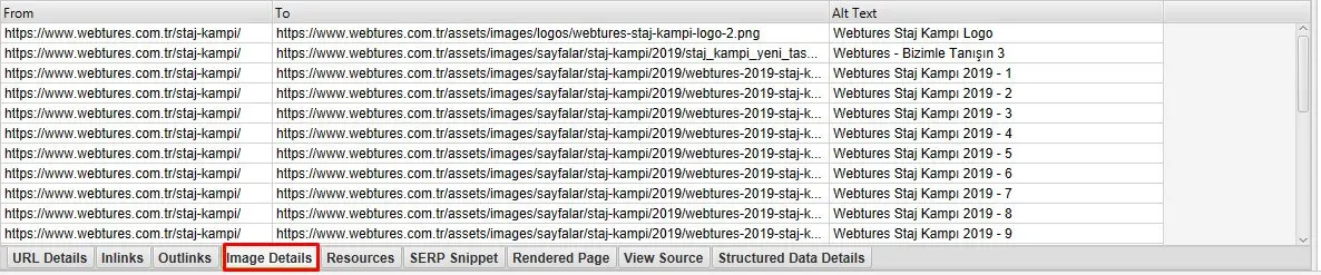 Screaming Frog Image Details