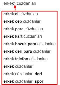 Google Otomatik Tamamlama Yıldız Fonksiyonu-2