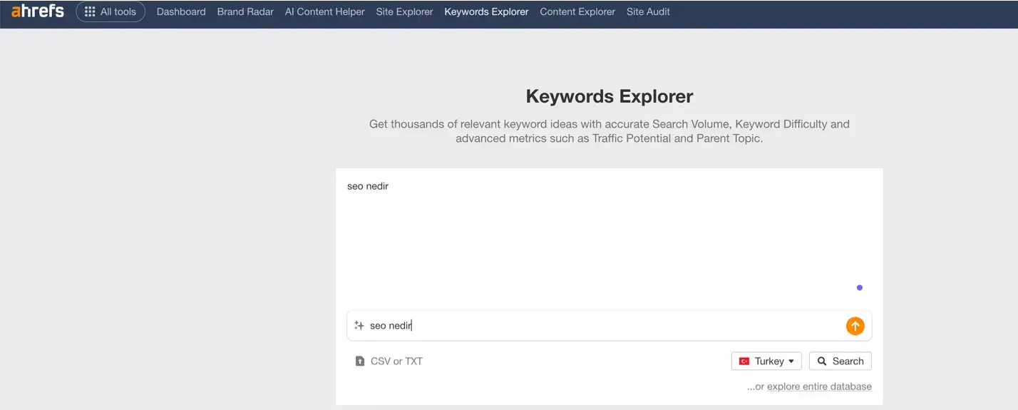 keywords explorer alanı 