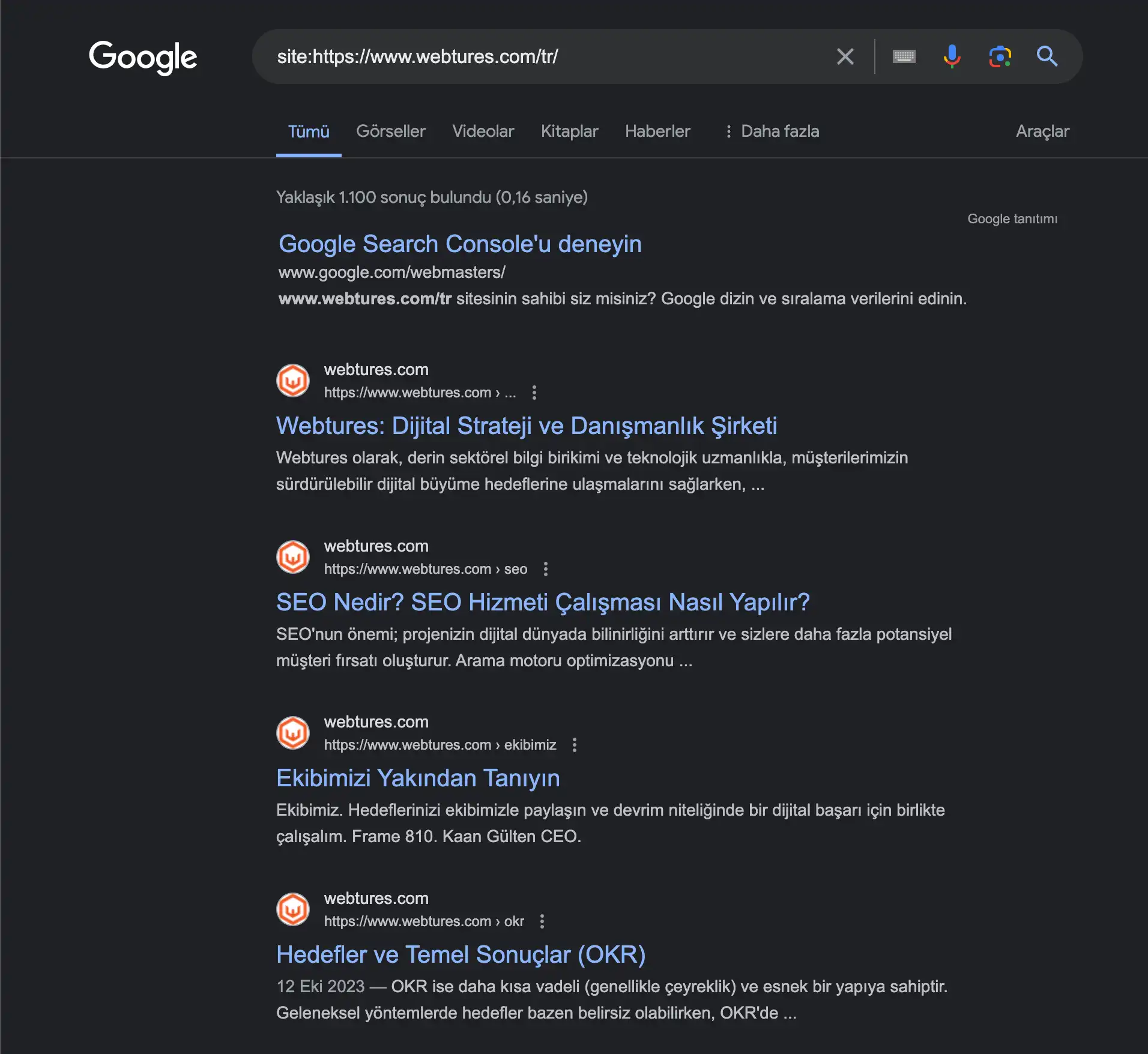 google gelişmiş arama